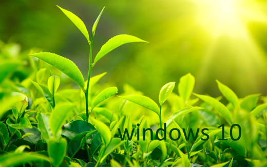 1168523 (a): :1920x1200